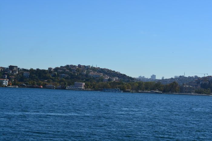 Theodora was still too young