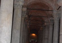 Exploring Avian Diversity