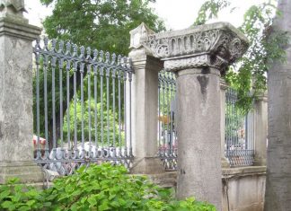 Pazirik Carpet A Glimpse into History