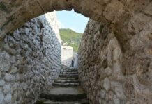 Short but Well-Organized Talks