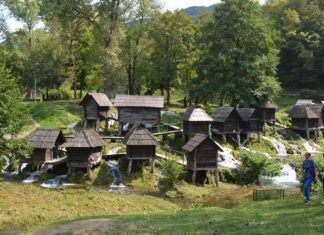 Festivals of the Imperial Cult