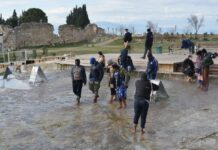 Development of Drugs and Specialized Medical Care in Bulgaria